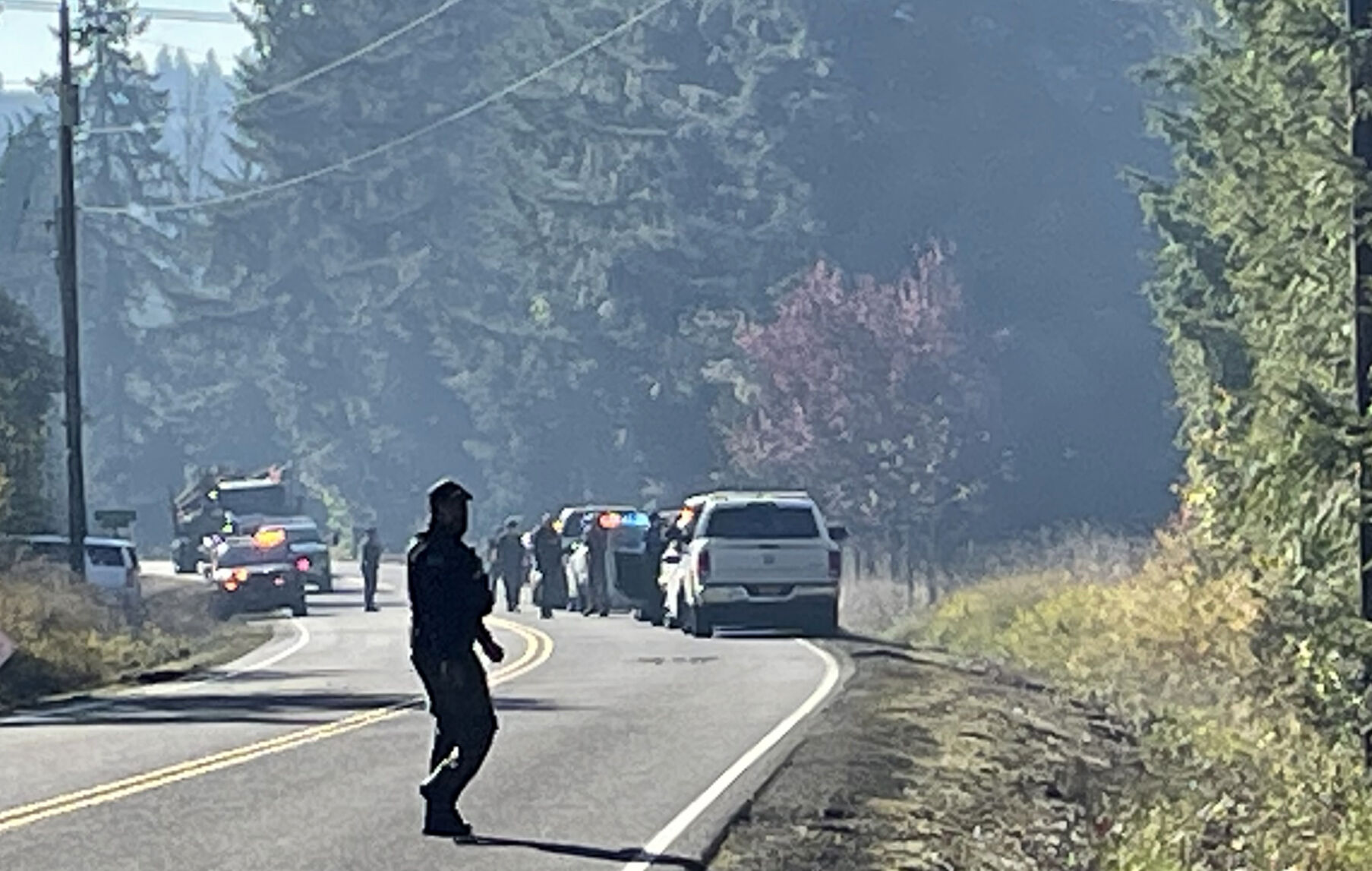 Search on Apiary Road